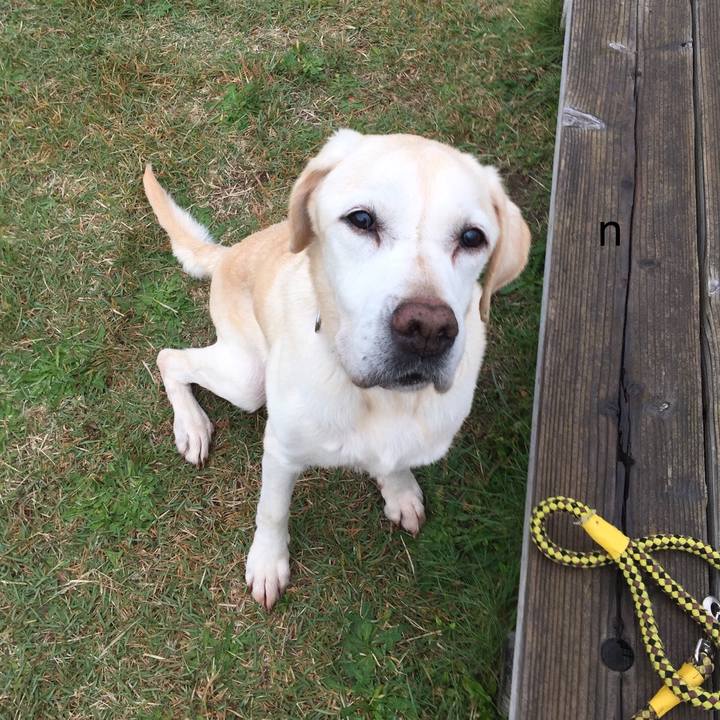 2017fe9a 23c5 42b7 90b8 1f2103a9ab64 1541578012922