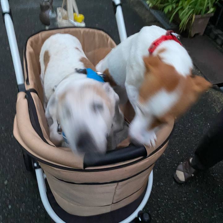 20184933 6d5a 4eb2 8337 bed3757b4260 1717328327511