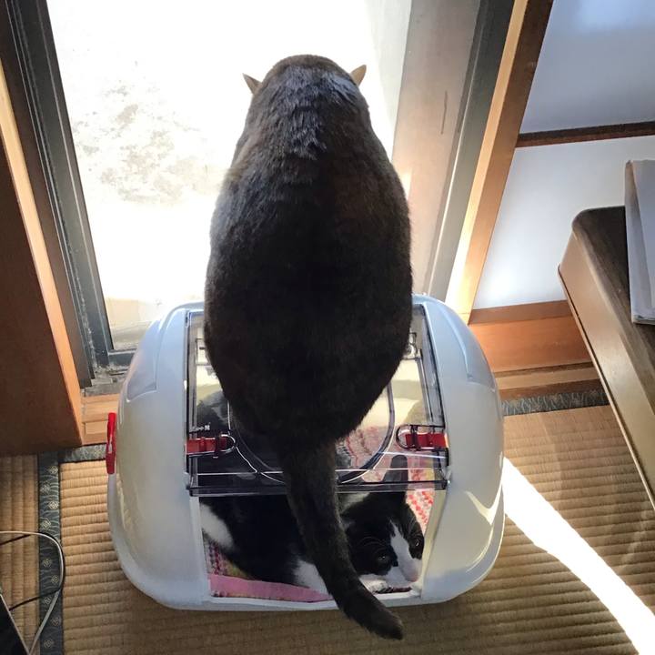 201853a5 1de5 46ad a0d0 36cce2eb9ca4 1635234051172