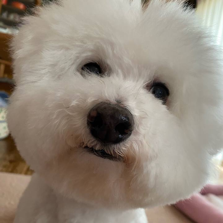 2018a1da 3184 441a bfea dc9070c40094 1735898658712