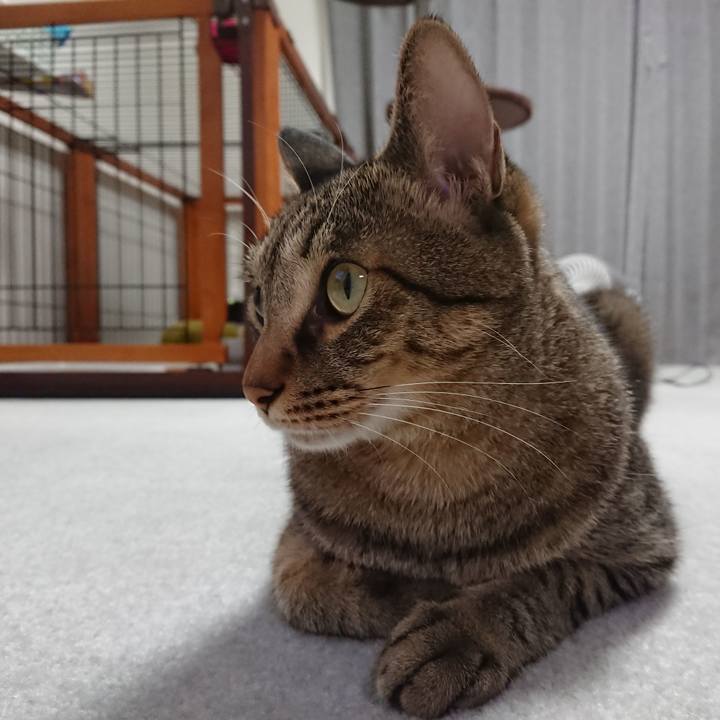 2018ac95 190e 4791 8ca6 0ddf40b04bdf 1535017279176