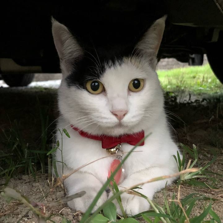 2018c06c 15ab 48f3 b549 91248afd5ec9 1633688277095