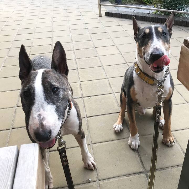 2018c0ea 25b8 4d56 a662 1bae6a9dcca1 1528017527699