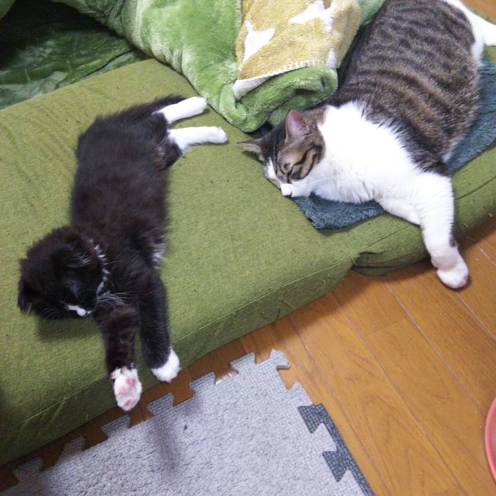 2018c37e c9ee 4299 8a7e e0b22906949e 1639570751252