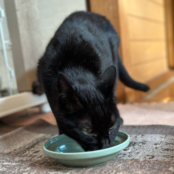 2018d6aa 7ad6 440f 89ad 52e88bd0fb9e 1693788363487