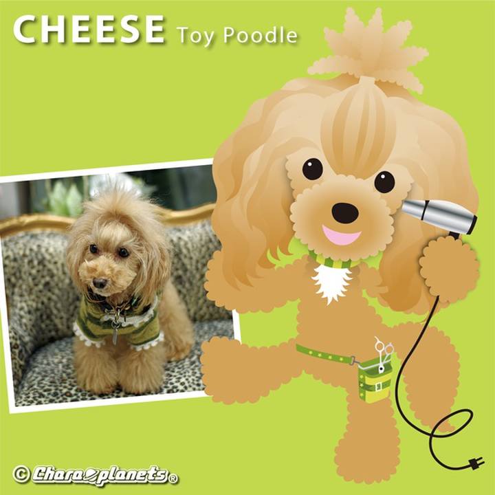 2018e03f 0a42 476c b17c 14616cc20d94 1555815920025