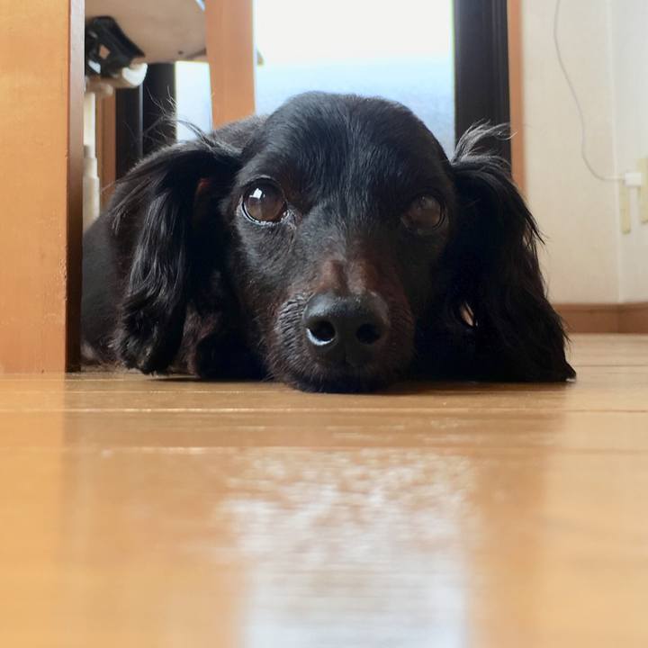 2018fab6 fa1d 4746 a55f 7ed69188d70f 1535927089203