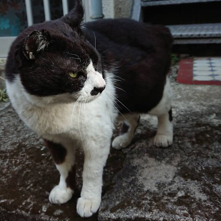 2019679d 3da3 4f1e 9e6a 8bc492ba6e2b 1614496356949