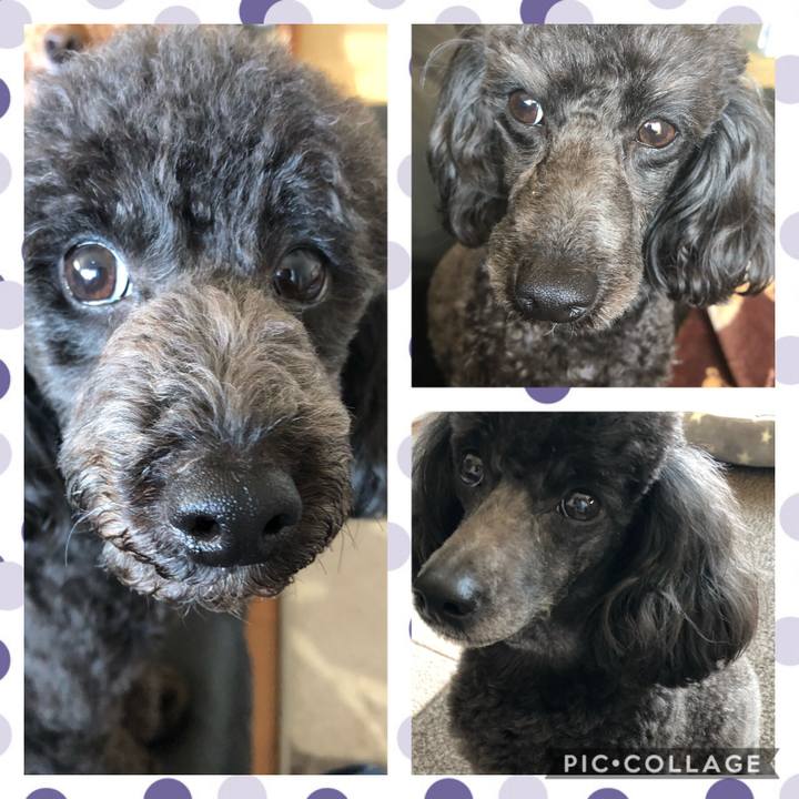 20198286 60c5 47b2 ba40 20fe28077b7b 1591089926364