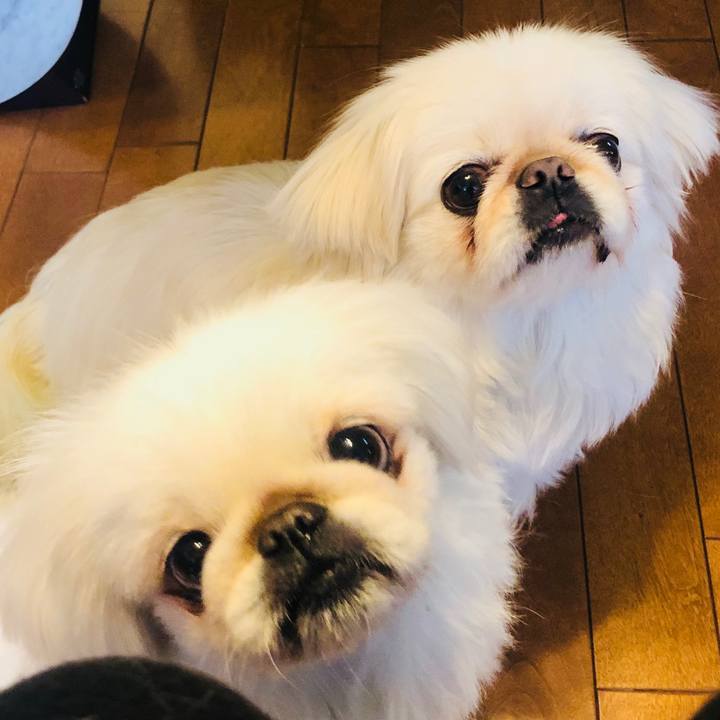 2019e5ea db9d 43b3 b284 0f9bf36a1226 1583044658766