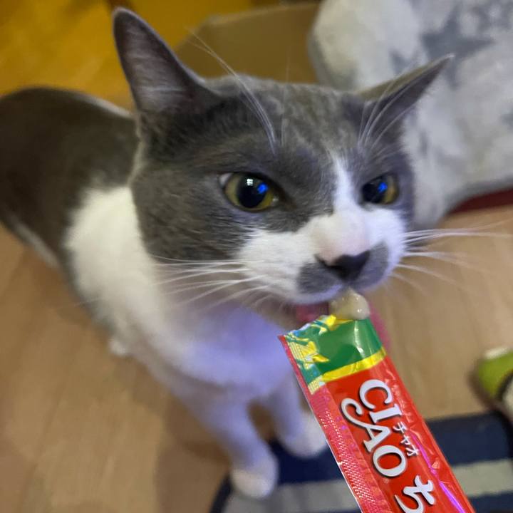 2019ec49 b193 4eba a0a2 143b079c5a85 1629194041790