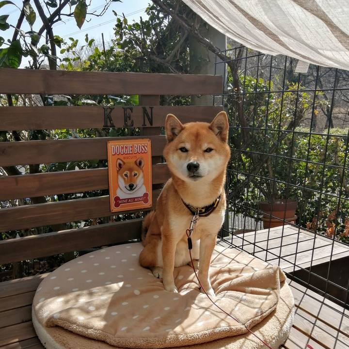 201a0e9d fb96 4363 85cf d41156d7c72a 1614830442299