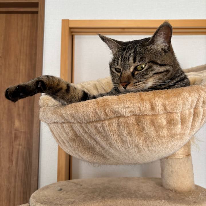 201a23a8 2a62 41b7 9559 f29712b6d053 1769737424357