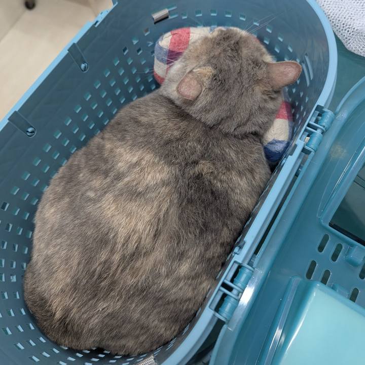 201a5828 4f2a 4cf2 a086 6f40f27b9847 1759368498341