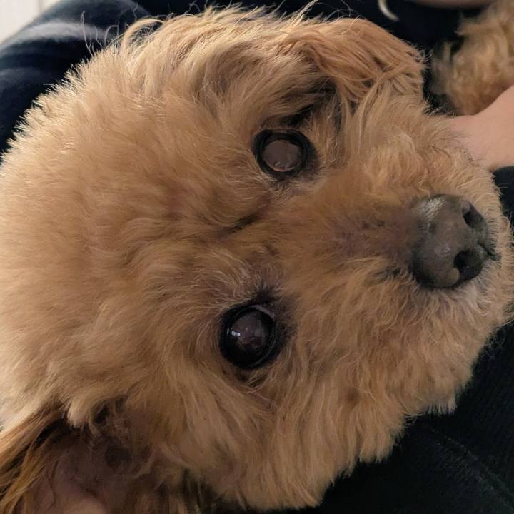 201a8180 616a 4053 a3ce 3ab7e9a463e9 1768611549032