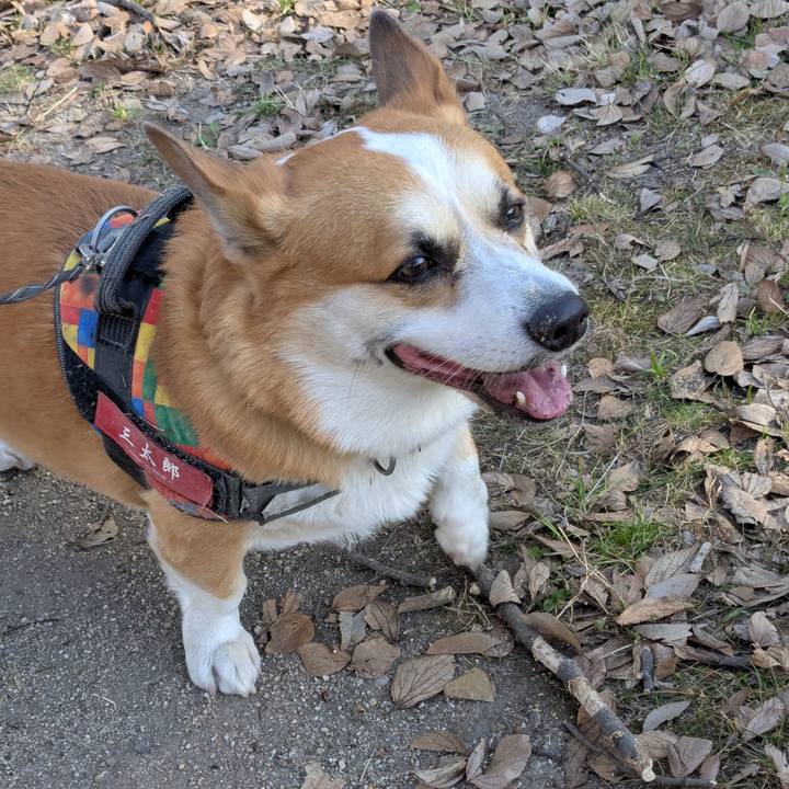 201a8527 66b0 4d41 a20b 6fbf397686fd 1770367411018