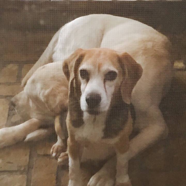 201aafd1 a3a4 4aac b5e6 7f97a0e73fbc 1509607250881