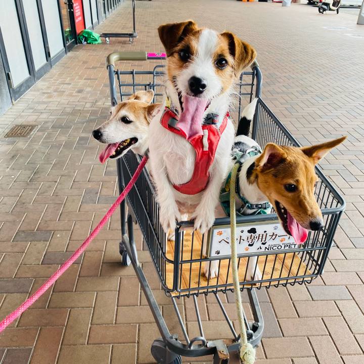 201ab537 a50d 40da b90b ba0a63575cd6 1761395834754