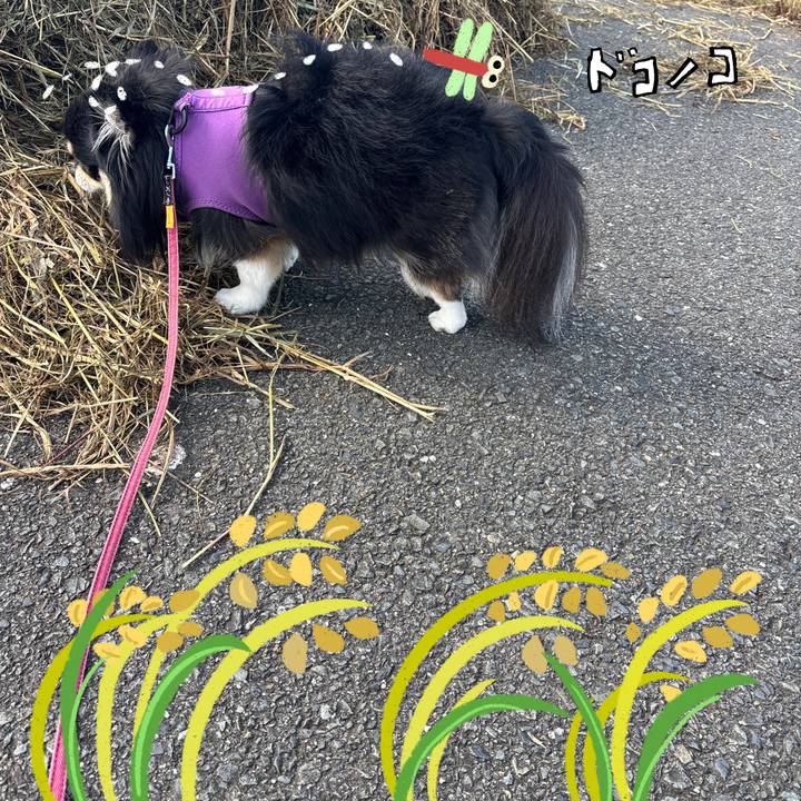 201abca0 52a3 4dc4 b2fc 7b7d27956a02 1761526577071