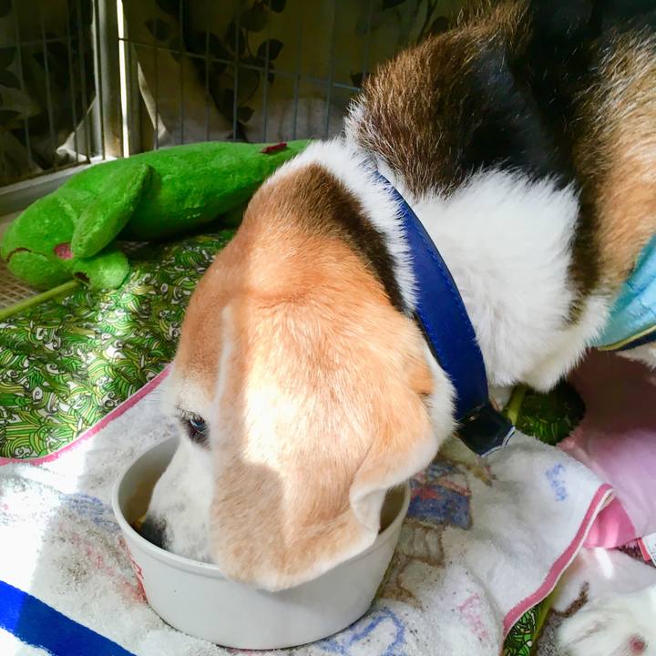 201ac41f 2606 4bdb 8962 7ed32b72a6b8 1729117620288