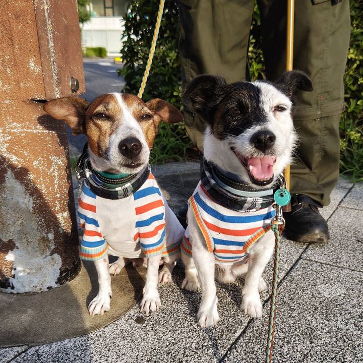 201b45ba 0f78 4674 ad62 4fbdbb6840e0 1724621774075