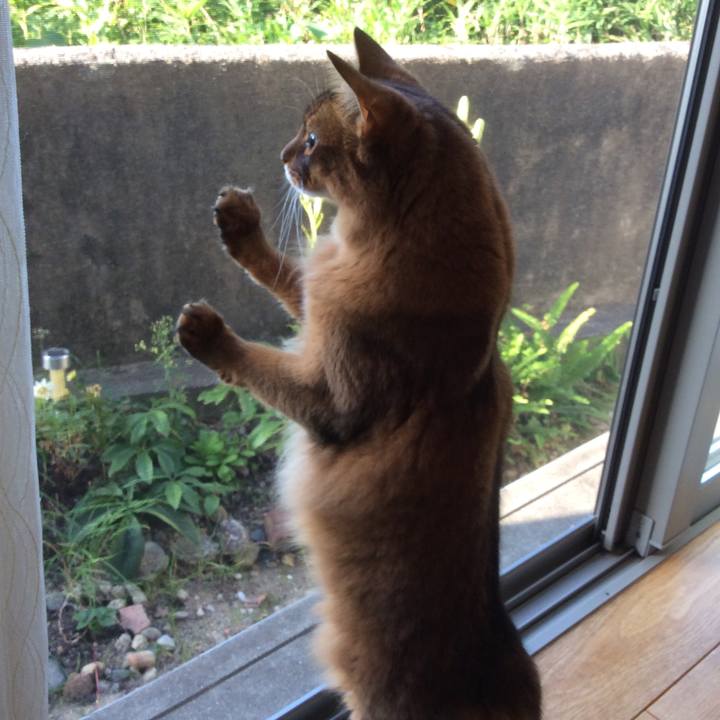 201b5737 49fc 4d4c a2ee 198b26998e2f 1634260379363