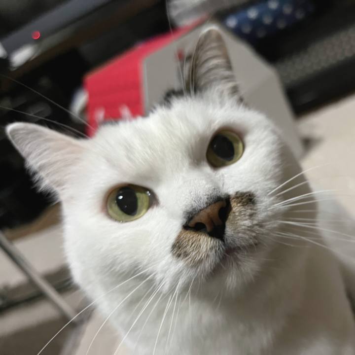 201b71f9 6d8d 41b0 a67f 8b534b55c6e6 1638363222739