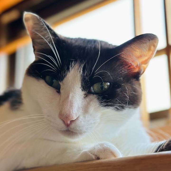 201bafcc 8a13 4d1d 9f90 6c737b253ae6 1689642526411