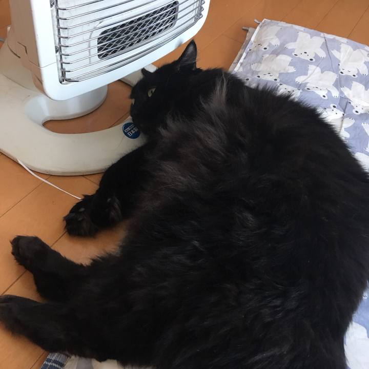 201c1352 54f9 41a3 a8a6 9c51d6400f02 1516869926872