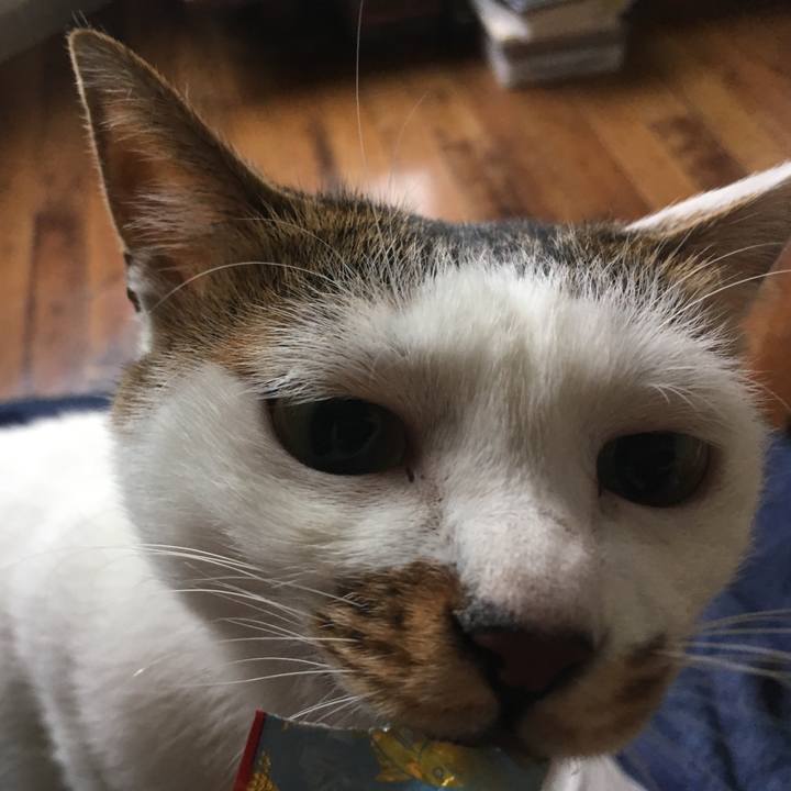 201c2f26 93c7 43c8 89ec 2f5b9777645a 1538210129234