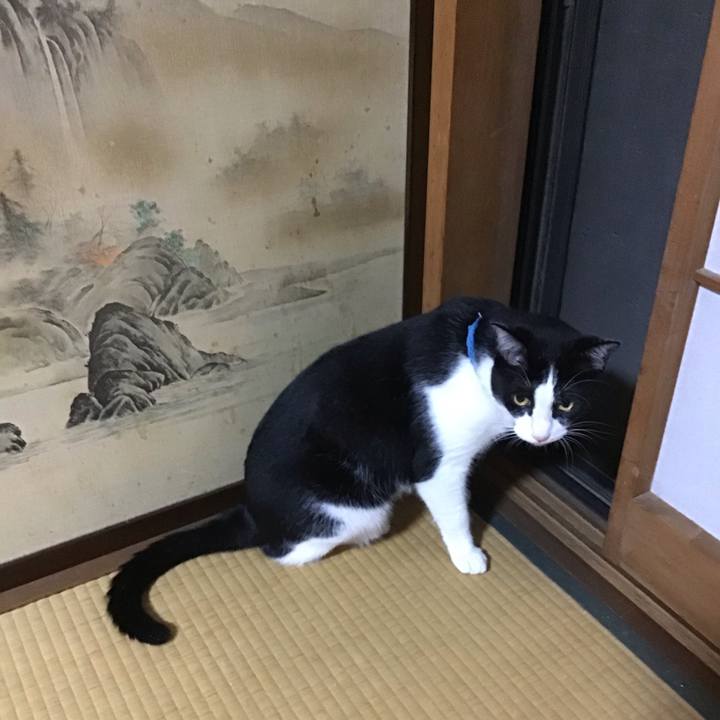 201c399a 6c25 423e 8bea 9399a1b9b3bd 1692705232359