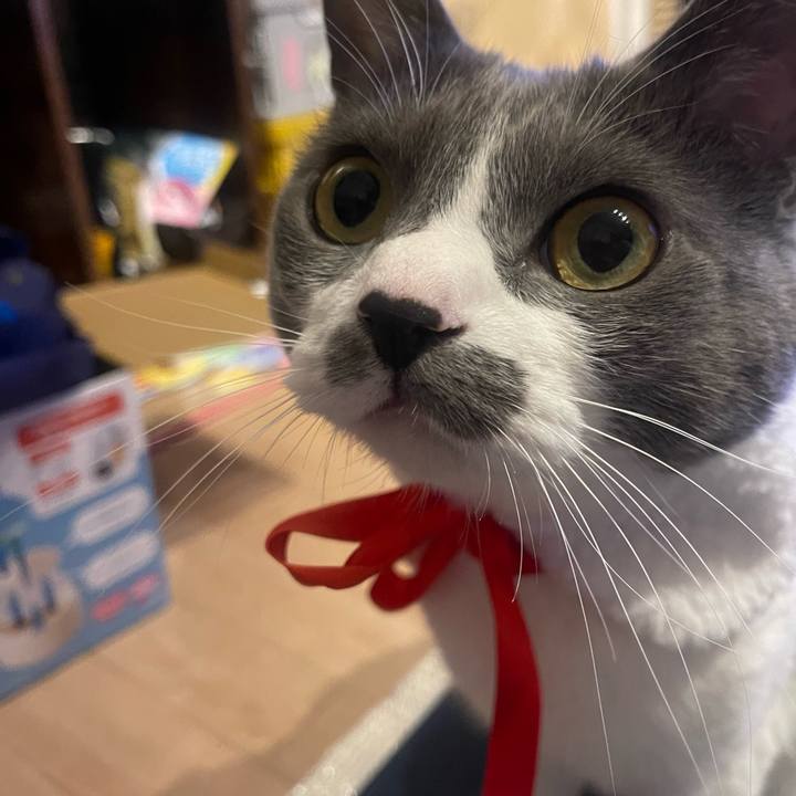 201c488d 0947 49fe b007 8aefe71d2651 1703332194978