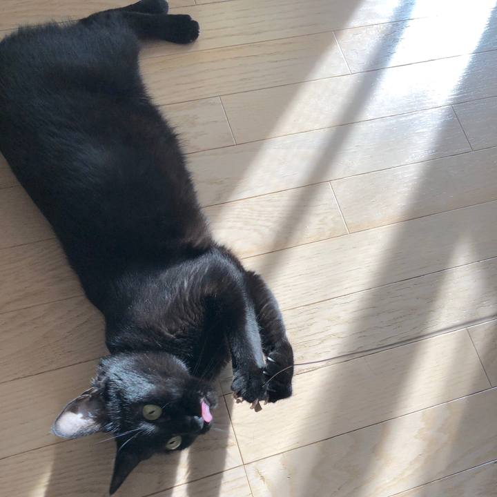 201c4d34 61d3 4ad5 8f46 6c38b121b332 1560947330837