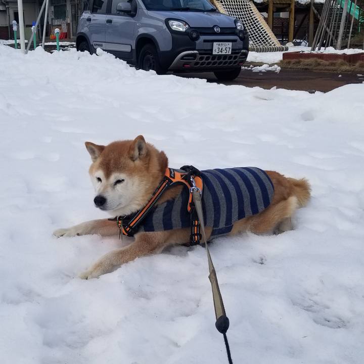 201c6300 af2c 40f5 b50b 87fecd588ed2 1706670456386