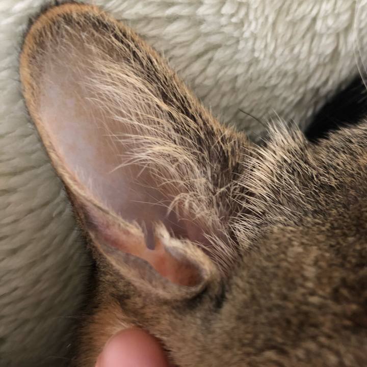 201c6f46 3f5a 4627 84e1 9bb0b404f7ad 1523068371598