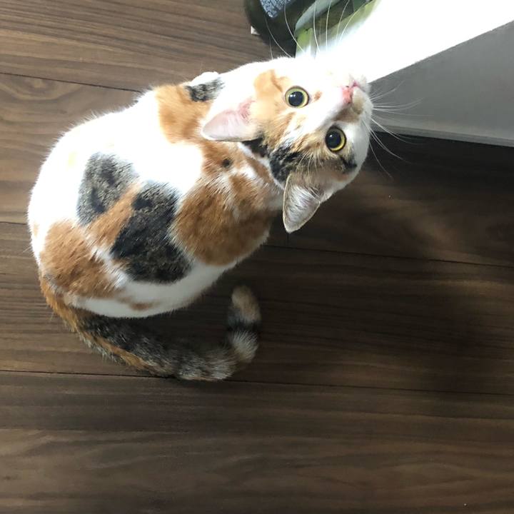 201c7a2e 5dd6 4352 9601 06252a34c2e0 1583364780173