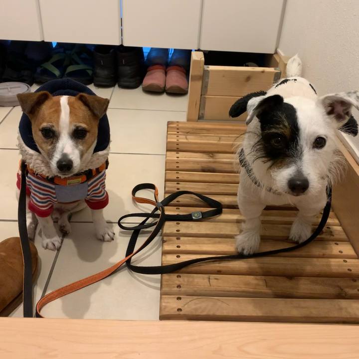 201c7f88 117e 4574 b6ec 1f01cc9f61e1 1609573356102