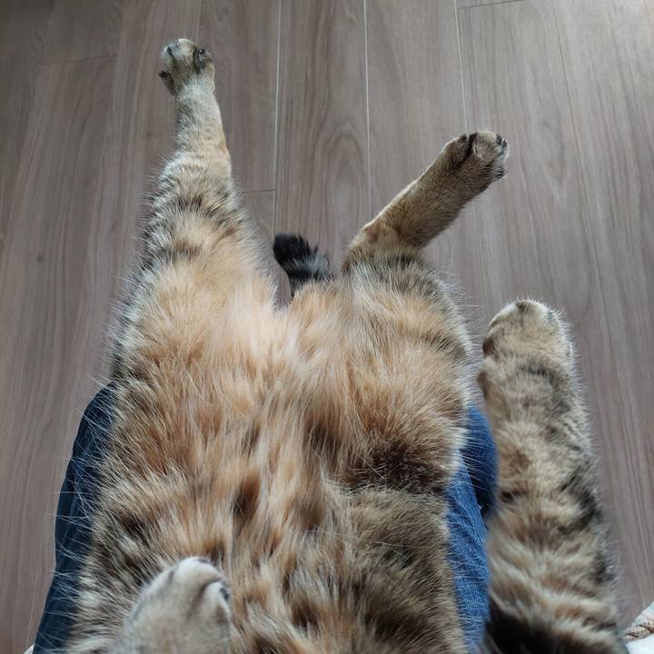 201c8f2b 03fe 49e5 b7ca a7e8b8d8c8ff 1729490804388