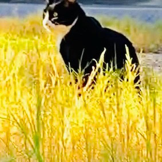 201cc152 ab67 4ade 84b4 e0c78b68a15c 1730877819805