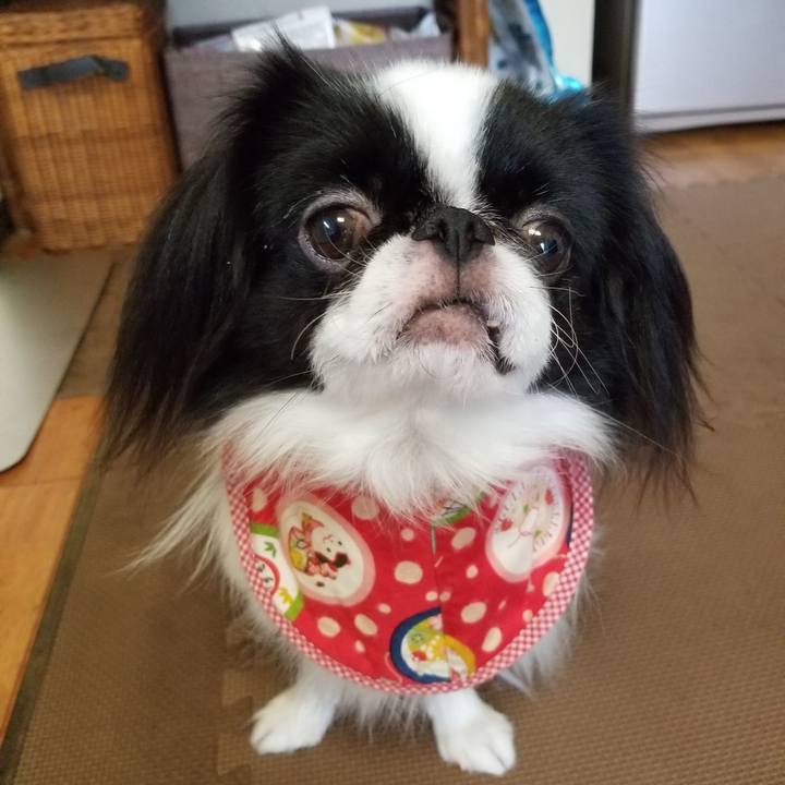 201cce90 0548 461c 8d04 7fd69b587e32 1664517543605