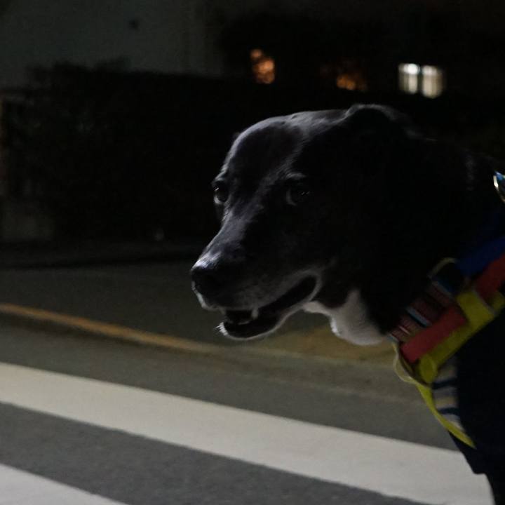 201d1245 67e3 4af5 804d 46c97eac2200 1769166157439