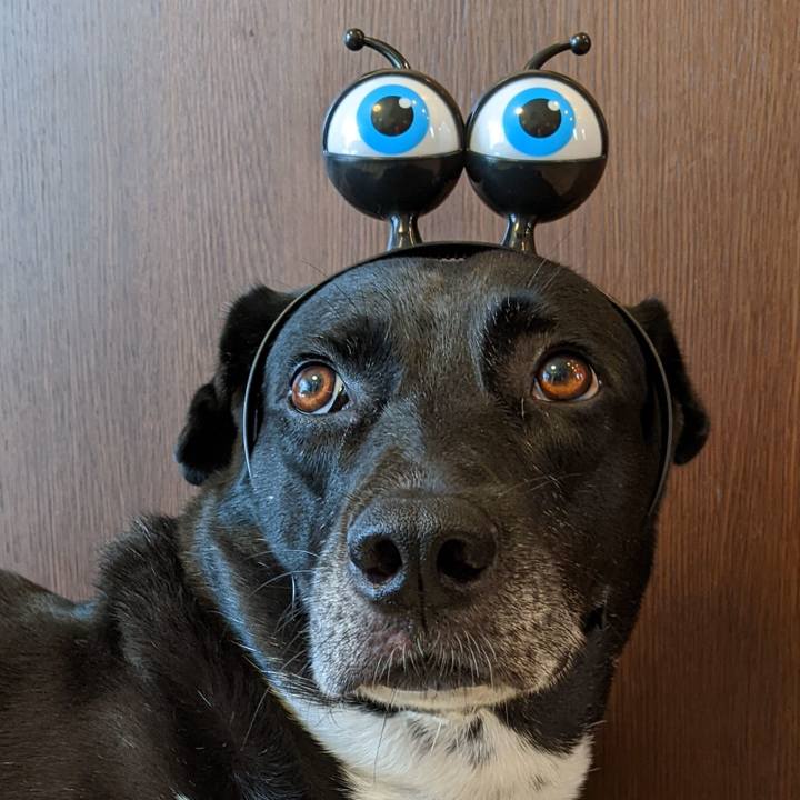 201d1547 b0f2 4ee6 beab 19c9cef8bbb4 1662355640110