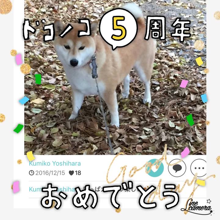 201d167a da25 4b46 9a82 a7541eb7ab34 1622884953727