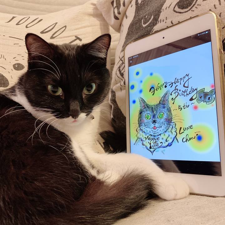 201d85d3 2136 473d b0f8 ca7aae5430bd 1580049911318