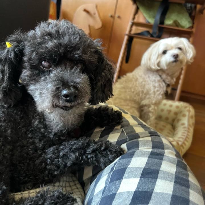 201d9107 e53b 4c84 a013 4249a7032552 1756369014282