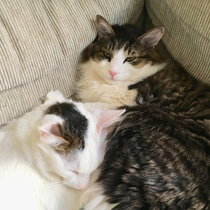 201daa79 3afd 473e a04e b72d609ded64 1523167378237