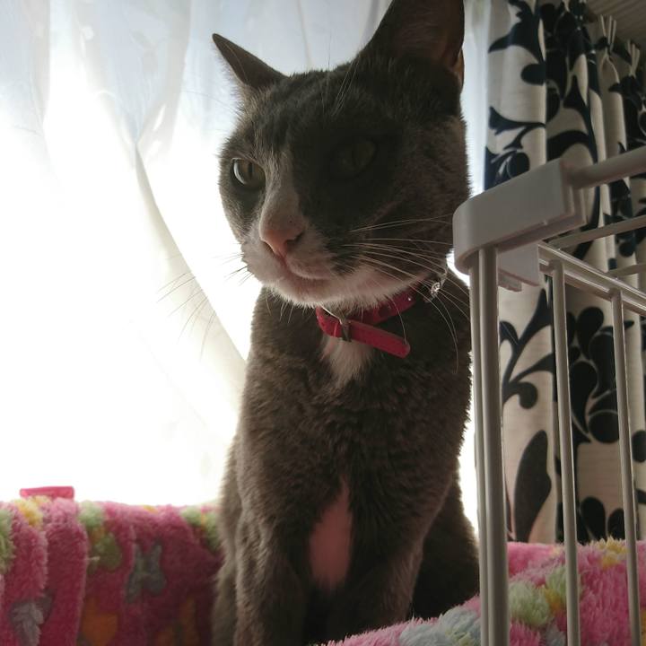 201dbb64 b9ea 4c60 9f26 a2b8f44636fe 1510566367439