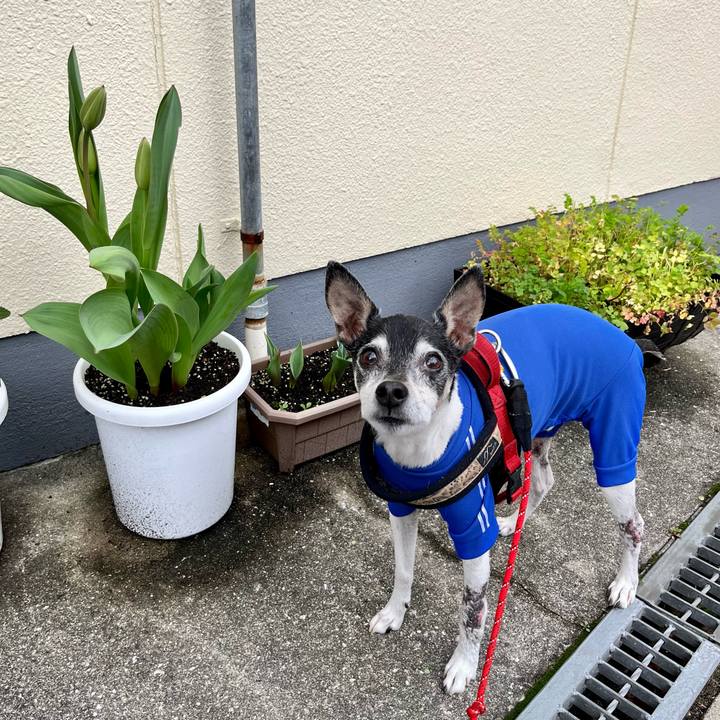 201ddba0 a653 4dc8 b87c a1fce528b1ce 1648348981466