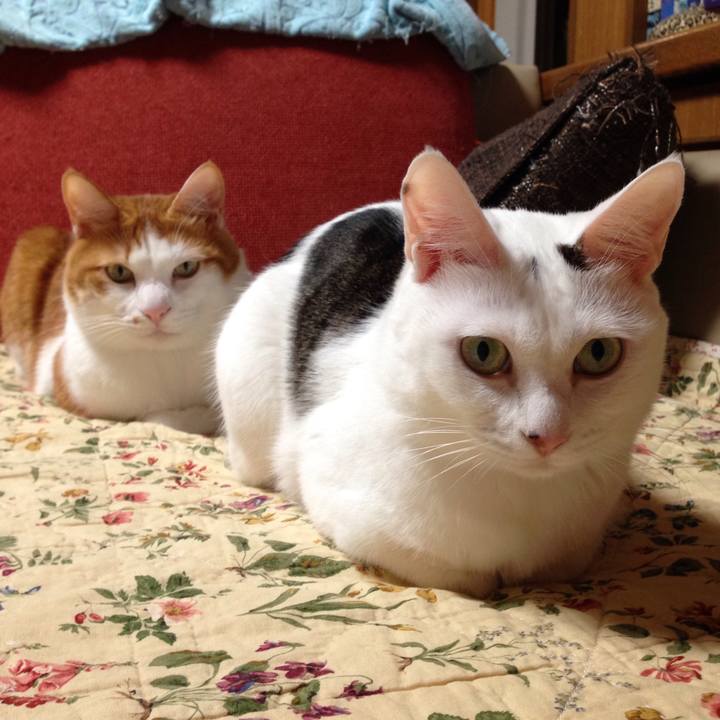 201e7802 72ec 455e 9002 aa39521f22d1 1508669543074