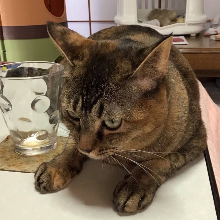 201e81c8 17cf 4f71 a60f 39937c8a7a8e 1642809487670